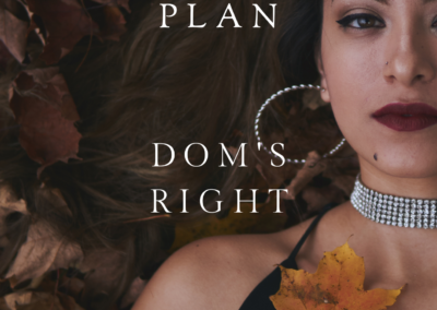 JLNICKY "Charlie's Mistress Plan / Dom's Right" Book Cover